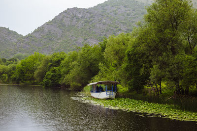 Scenic view of river amidst trees in forest