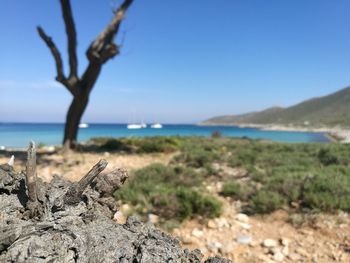 Scenic view of sea against clear blue sky