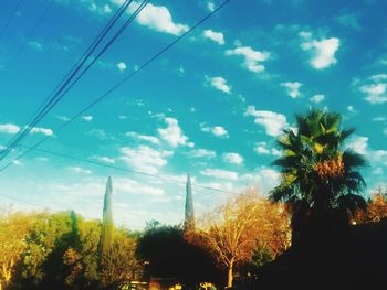 Low angle view of trees against blue sky