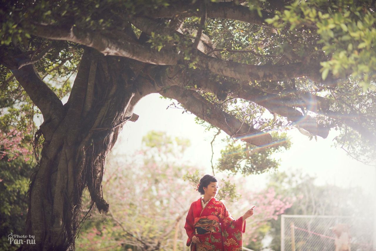 tree, lifestyles, leisure activity, rear view, standing, casual clothing, person, forest, day, growth, nature, three quarter length, focus on foreground, waist up, branch, tree trunk, men, outdoors