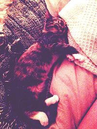 Close-up of red wall