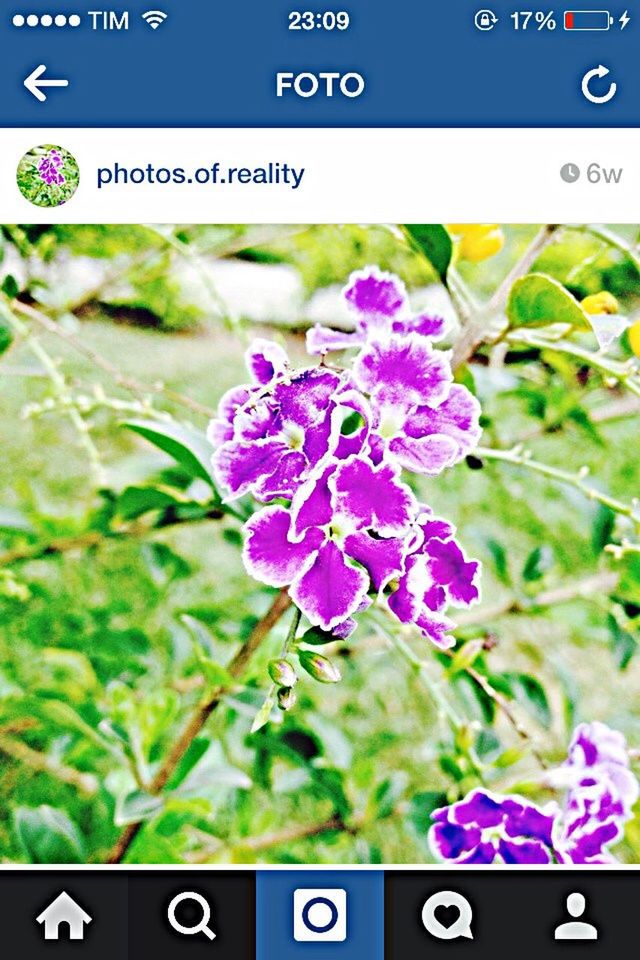 text, flower, communication, western script, close-up, freshness, green color, focus on foreground, growth, purple, number, fragility, beauty in nature, day, selective focus, no people, nature, plant, blue, outdoors