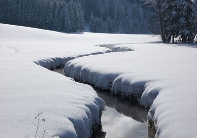 Snow covered trees by river during winter