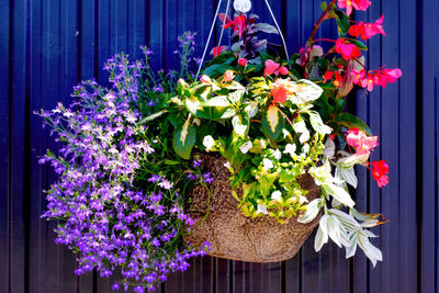 Close-up of flower pot on plant