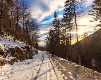 Mid distance view of woman on road by trees during winter at sunset