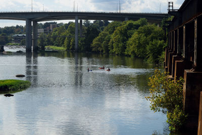 Scenic view of river by trees