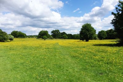 Scenic view of field against cloudy sky