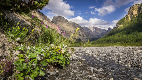 Scenic view of rocky mountains against sky