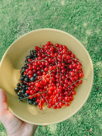 High angle view of hand holding strawberries