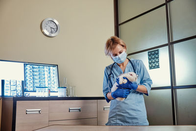 Veterinarian holding rabbit at clinic