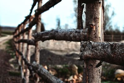 Close-up of rusty metal fence
