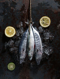 High angle view of fish on table