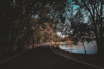 Road amidst trees against sky