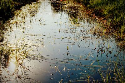 Scenic view of lake