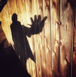 Shadow of woman on wooden wall