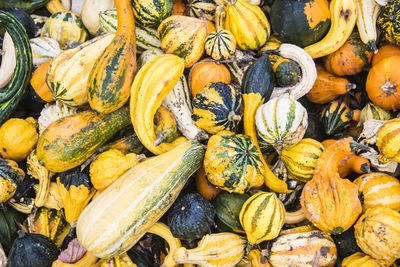 Full frame shot of pumpkins for sale at market stall