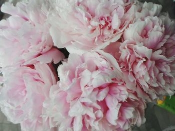 Close-up of pink flower bouquet