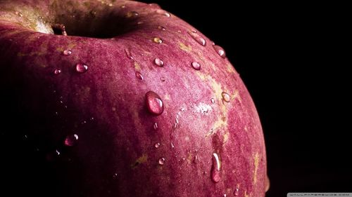 Close-up of water drops on apple against black background