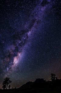 Milky way over trees at night