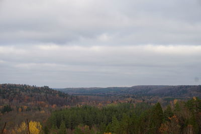 Scenic view of trees on field against sky