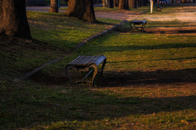 Empty bench on grass in park