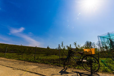 Low angle view of trees against sky