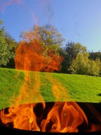 Autumn trees on field against sky