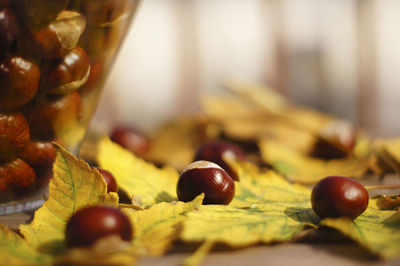 Close-up of chestnuts with autumn leaves on table