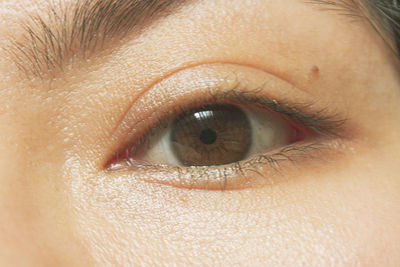 Close-up portrait of woman eye