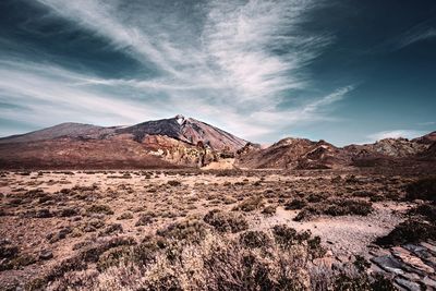 Scenic view of landscape and mountains against sky