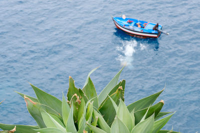High angle view of boat moored on sea