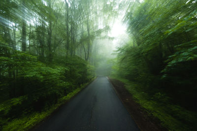 Road amidst trees in forest