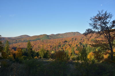 Scenic view of landscape against clear blue sky