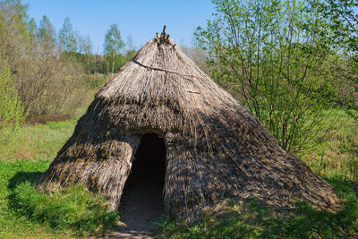 Grass hut on a meadow