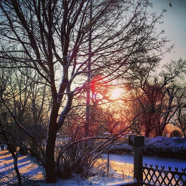 bare tree, tree, sunset, branch, tranquility, winter, sun, tranquil scene, scenics, beauty in nature, snow, cold temperature, nature, season, sky, sunlight, field, orange color, tree trunk, water