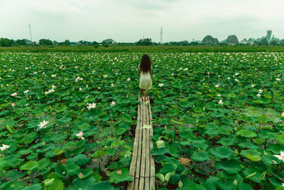 Rear view of woman walking on field against sky