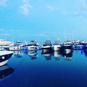 Boats moored at harbor