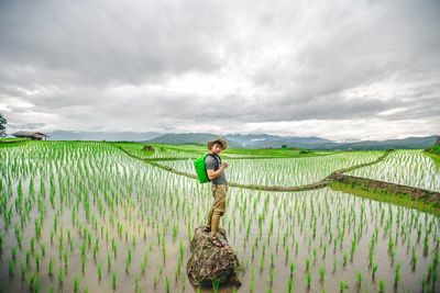 Portrait of male hiker standing on rock at rice paddy against cloudy sky