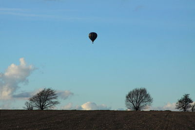 Birds flying over landscape