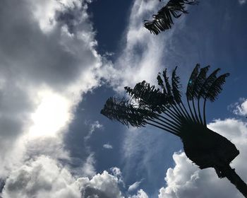 Low angle view of silhouette palm tree against sky