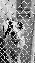 Full frame shot of chainlink fence