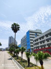 Road by palm trees and buildings against sky