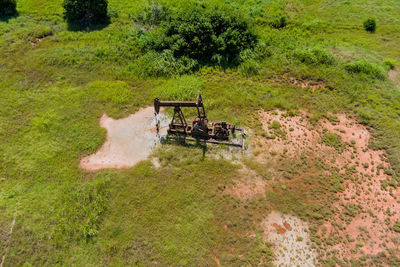 Scenic view of agricultural field