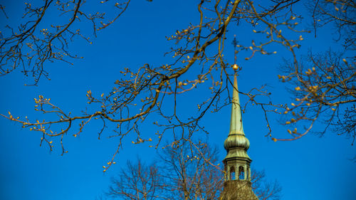 Low angle view of trees against blue sky