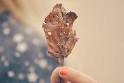 Close-up of hand holding ice cream