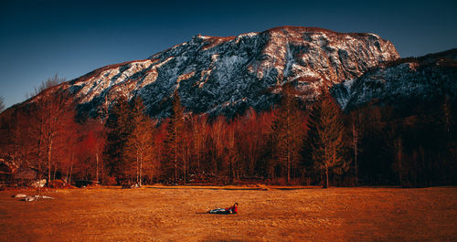 View of trees on mountain during autumn