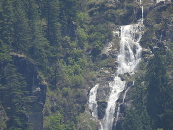 View of waterfall in forest