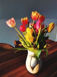 Close-up of tulips