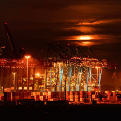 Cranes under the full moon