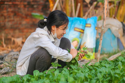 Young vietnamese girl picking leaf mustard in the garden